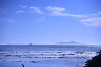 DSC_0873 (Large).JPG